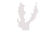 Bird 1